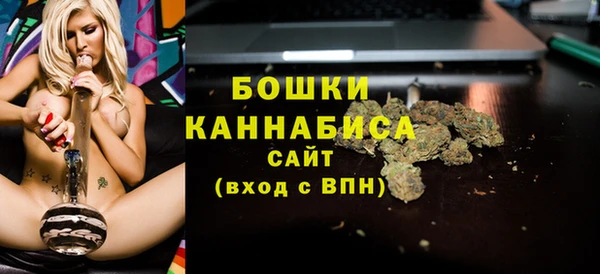 твердый Кулебаки