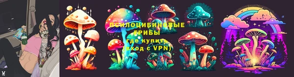 твердый Кукмор