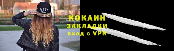 твердый Кукмор