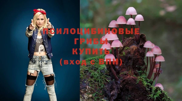 твердый Кукмор
