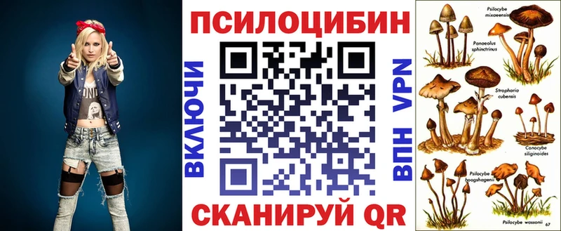Галлюциногенные грибы Psilocybine cubensis  купить наркотики сайты  Ясногорск 